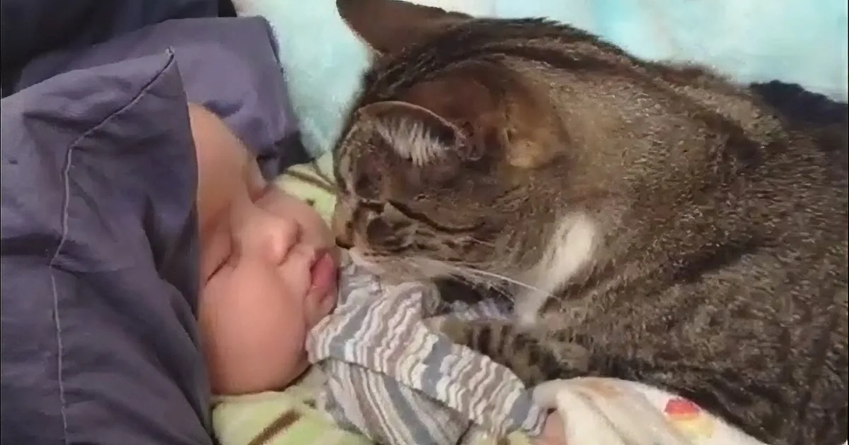 A cat and a baby are sleeping together, cuddled up on a bed.