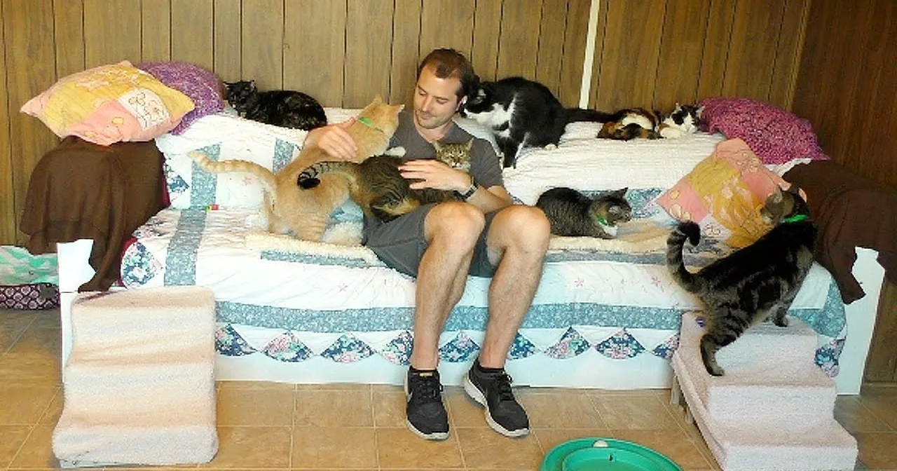 A man sits surrounded by numerous cats on a couch and steps, interacting with them.