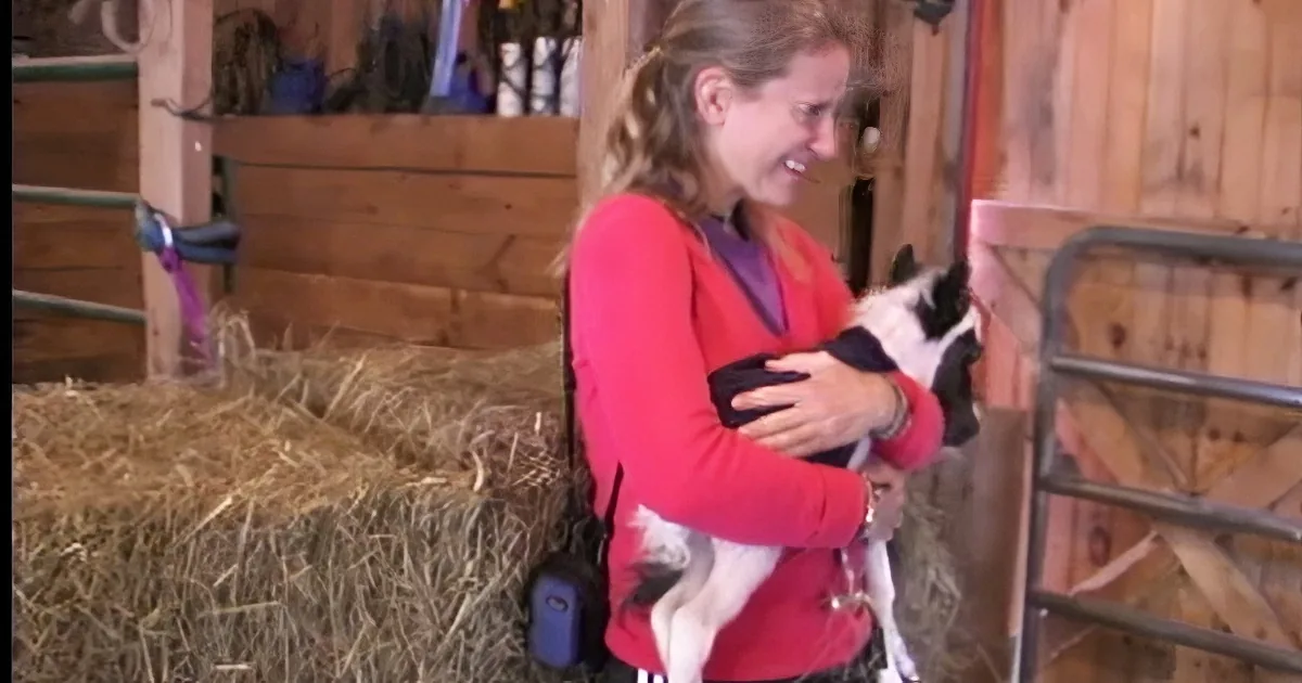 A woman in a red shirt holds a small black and white animal, smiling in a barn setting with hay and wooden walls.