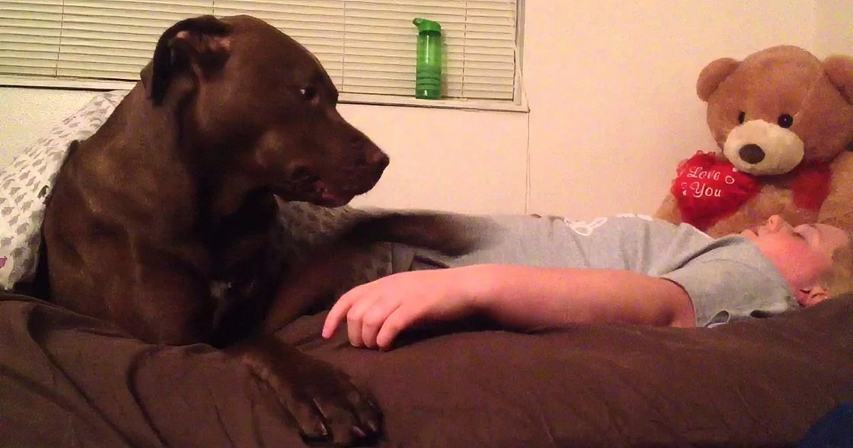 A brown dog rests on a bed, gently touching a sleeping child's hand.