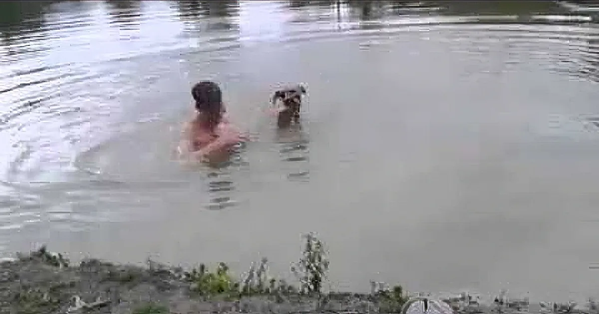 A man and a dog are swimming in a murky body of water.