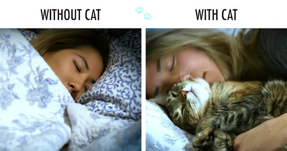 A woman sleeps peacefully with and without a cat, both scenes showing her in bed.