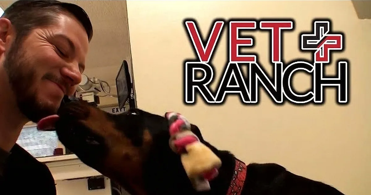 Mommy Dog Is Saved From Being Put to Sleep. Vet Ranch Did an Incredible Job With Her.