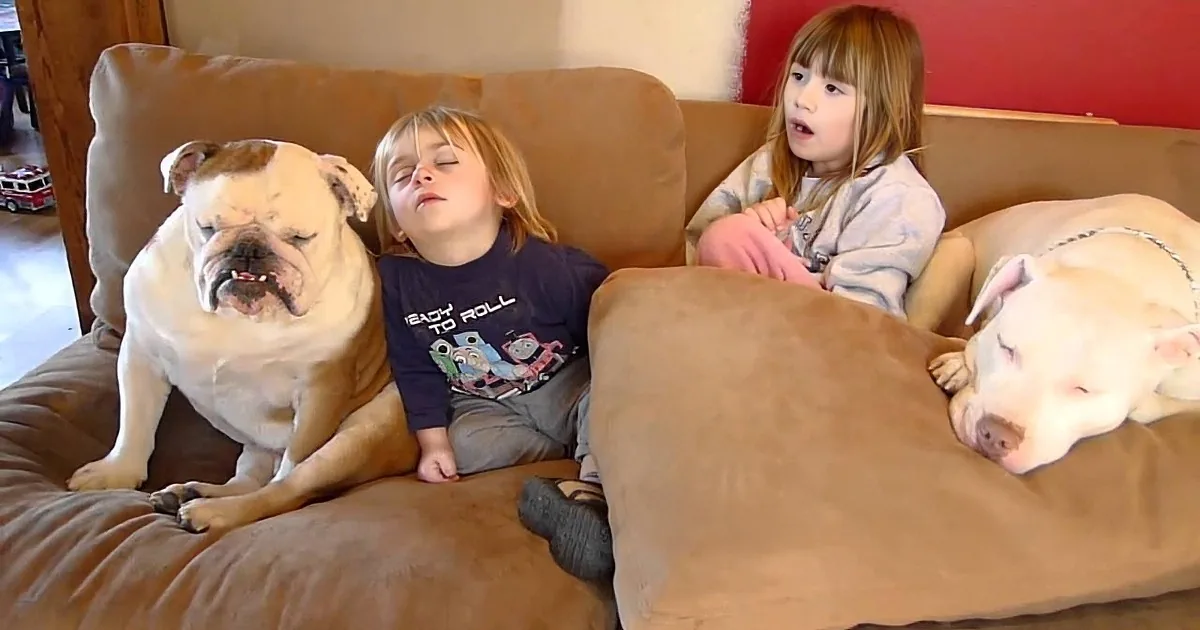 Two children and two dogs, one sleeping, on a brown couch in a cozy living room.