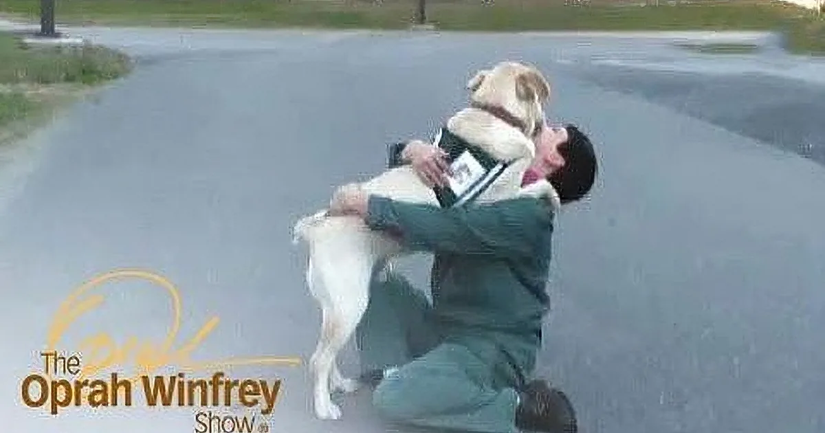 A person in a green uniform is hugging a large white dog on a paved road.