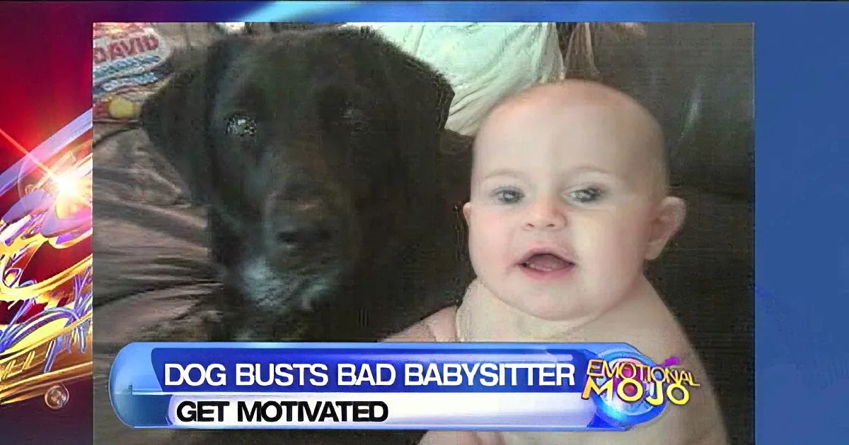 A baby and a black puppy are shown with text about a dog exposing a bad babysitter.