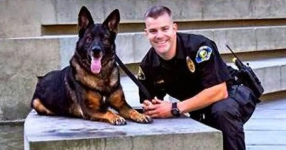 A police officer and his K9 partner are sitting on steps, smiling at the camera.