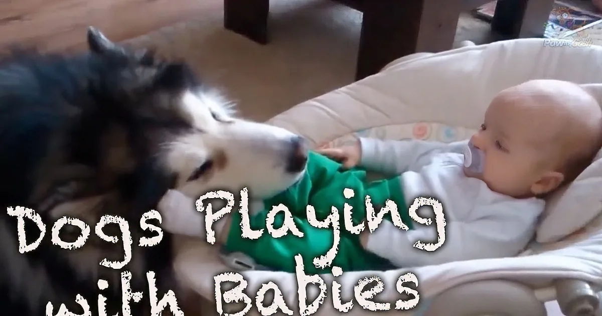 See What Happens When Infants and Pups Meet for the Very First Time.