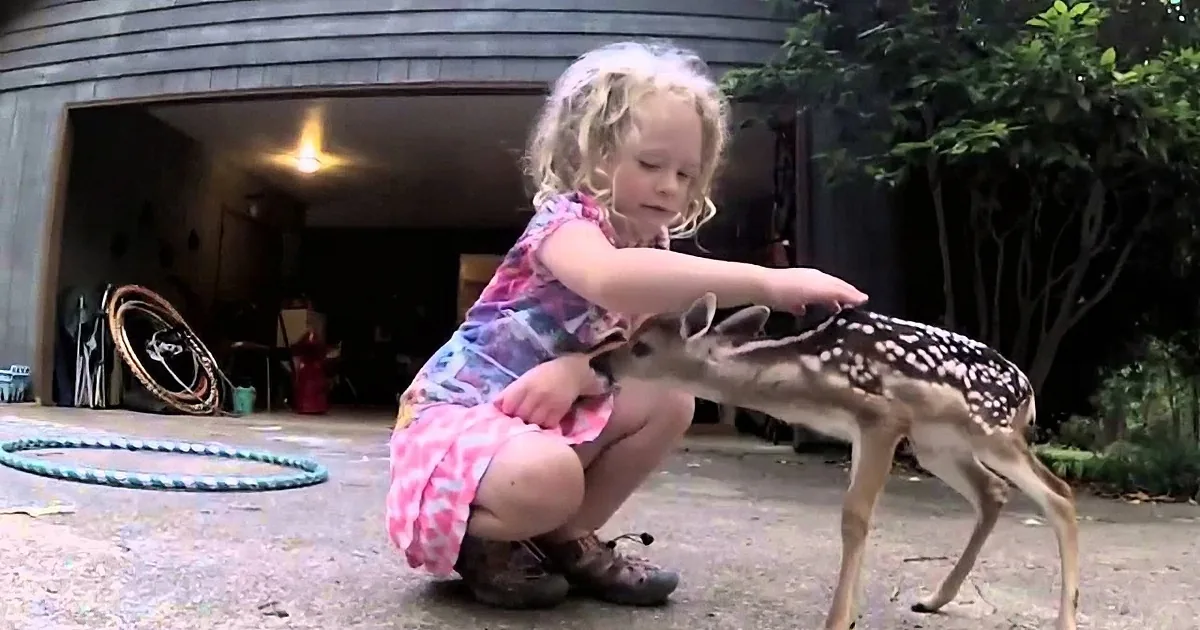 A young girl in a pink dress gently pets a fawn on a driveway near a garage.