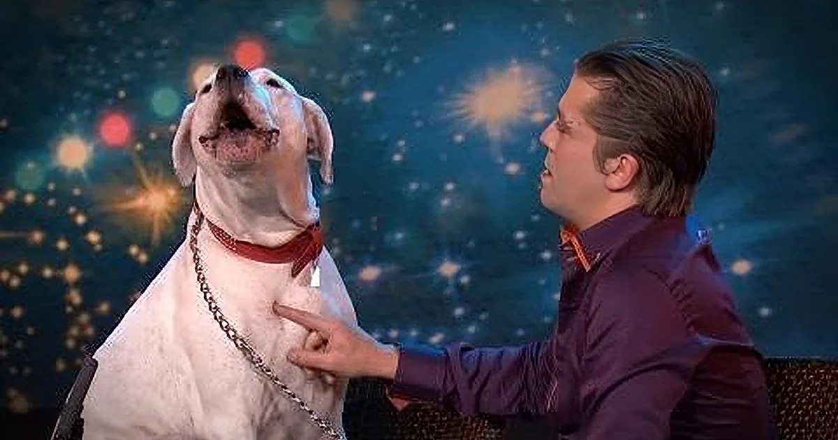 A man in a purple jacket pets a white dog with a red collar against a starry background.