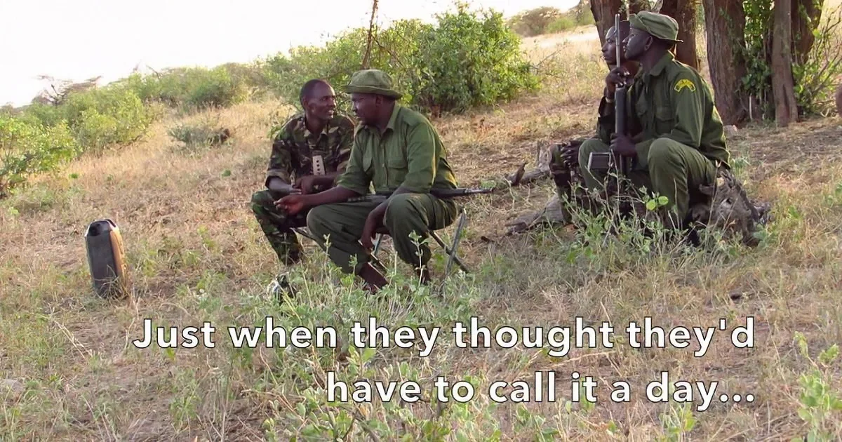 These Wildlife Rangers Devise a Risky Plan That Will Reunite This Elephant With His Herd
