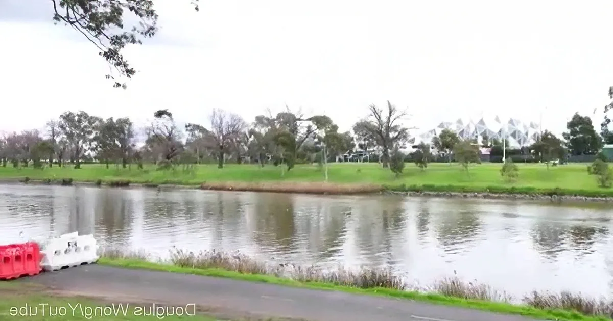 Hawk Circles Near Family Picnic in Australia and Then... Prepare for a Surprise!