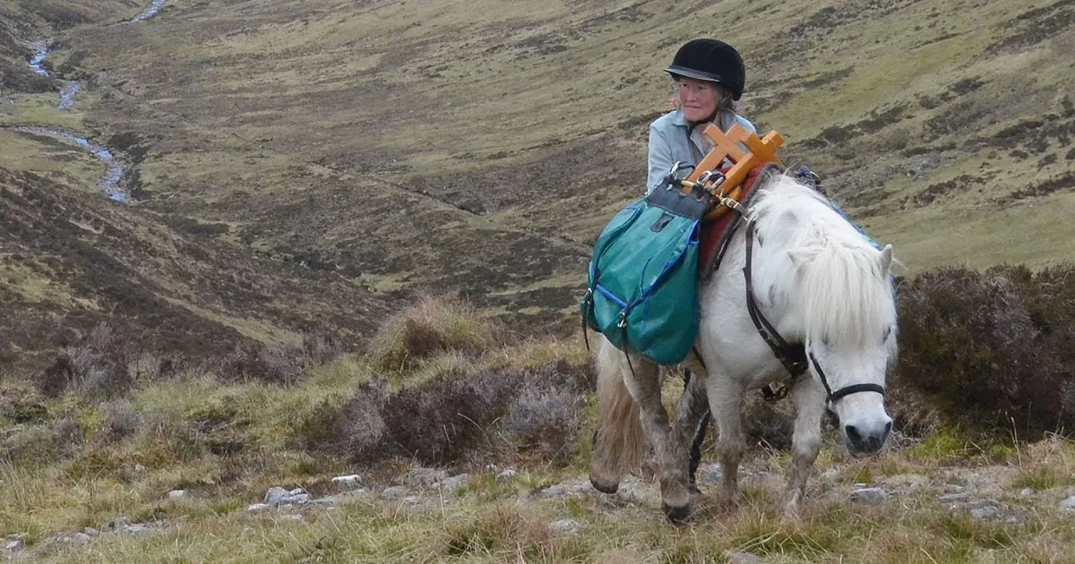 15 Years Ago She Rescued a Pony. Watch What Happened After All Those Years! Too Beautiful!