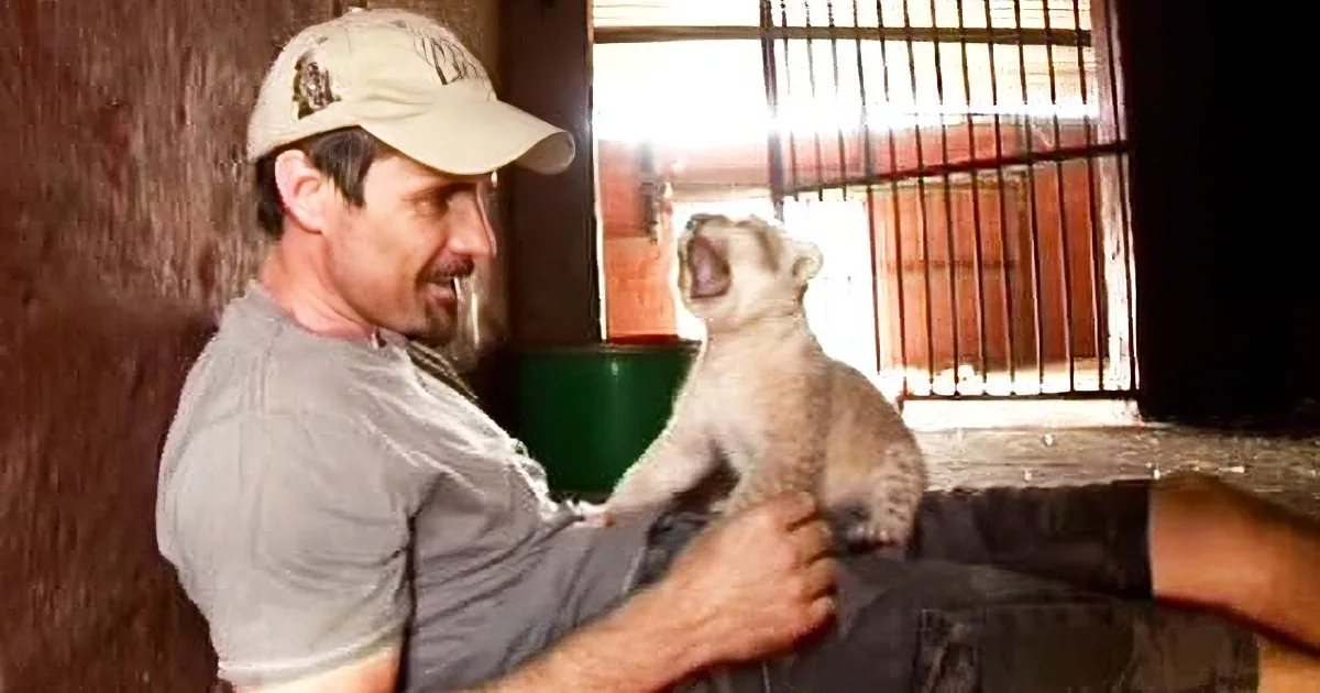 Parrot Gets Stuffed Bunny for Birthday... Just Listen to How He Greets His New Buddy, Lol!!!