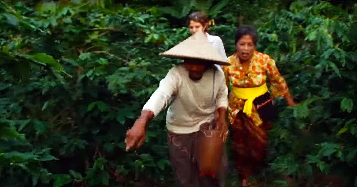 A person wearing a traditional conical hat walks through a lush green forest, carrying a basket.
