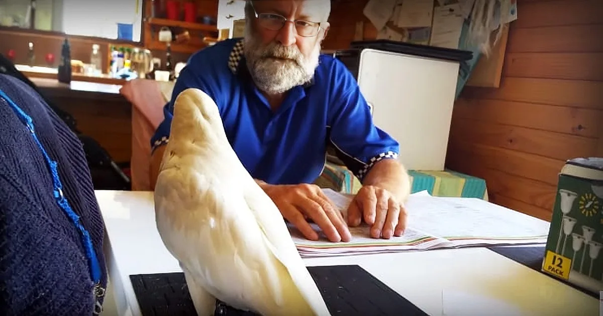 An older man with a beard and glasses is working at a table, surrounded by papers and a lamp.