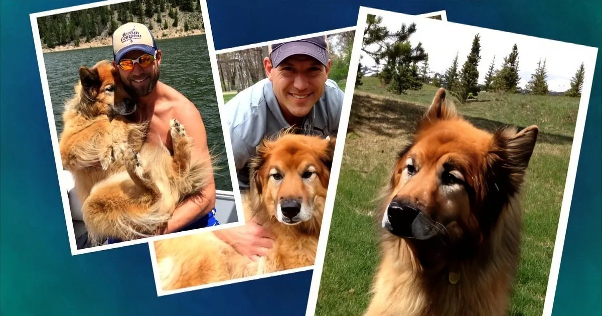 The Doctors' Tribute to Dr. Travis' Deceased Dog Nala Brings Him and the Audience to Tears