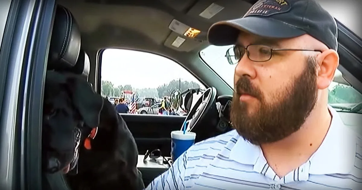 A man with a beard and glasses sits in a car, looking out the window at a crowd, wearing a cap and striped shirt.