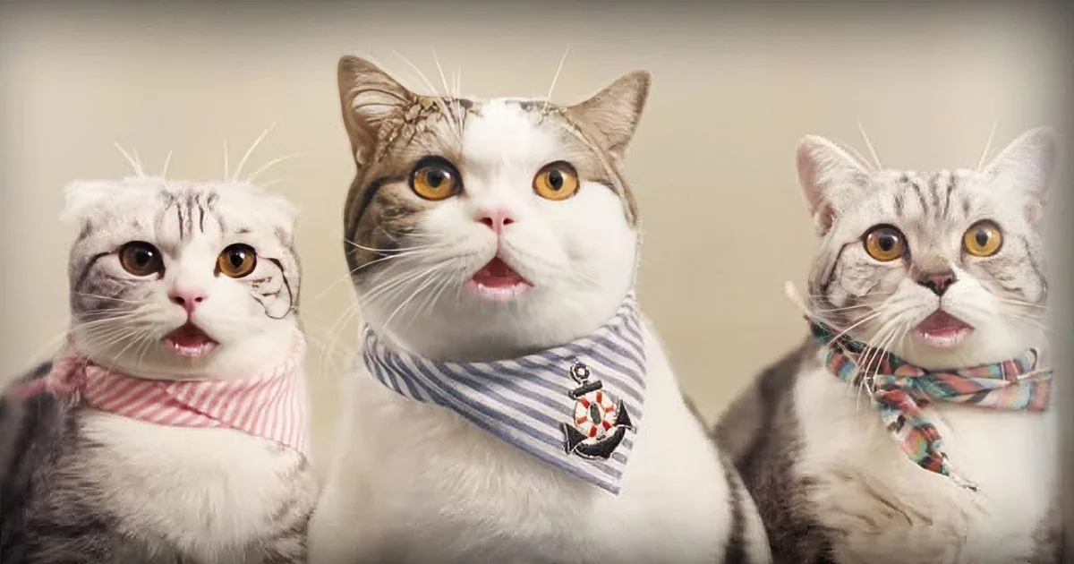 Company Employed Gangster Cats for Their Commercial. It''s the Funniest Thing You''ve Ever Seen