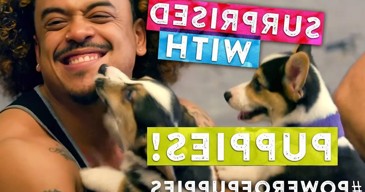 A man smiles while holding two playful puppies, with text overlay saying "Surprised with Puppies!"