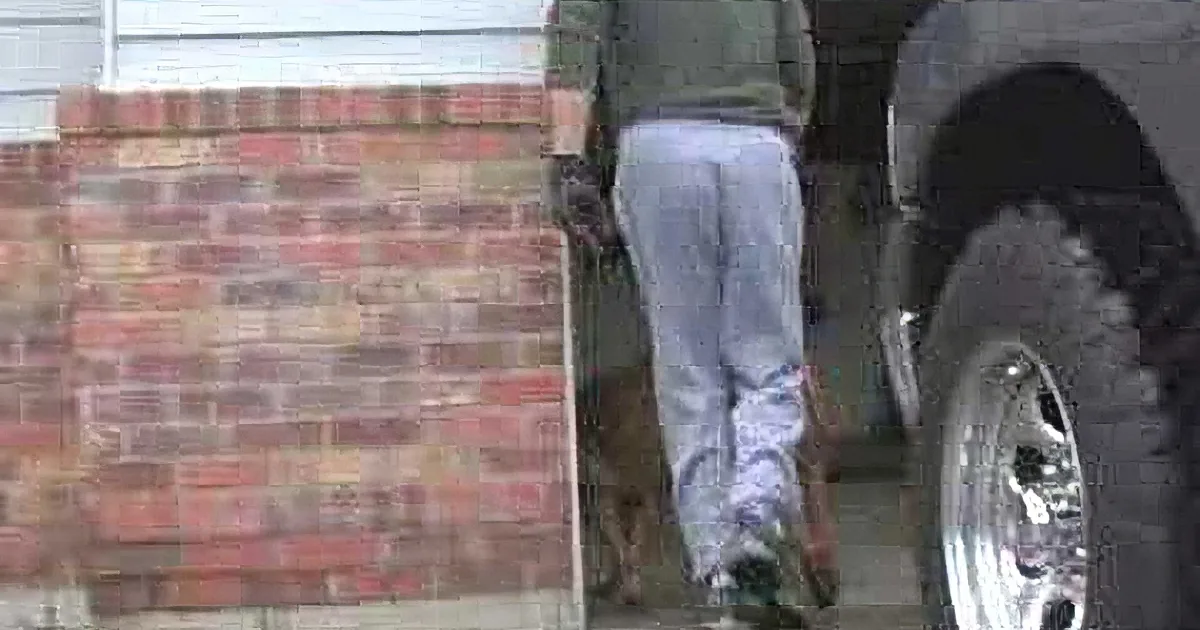 It Looks Like He''s Just Taking His Dog for a Walk, but When You Have a Closer Look... OMG!