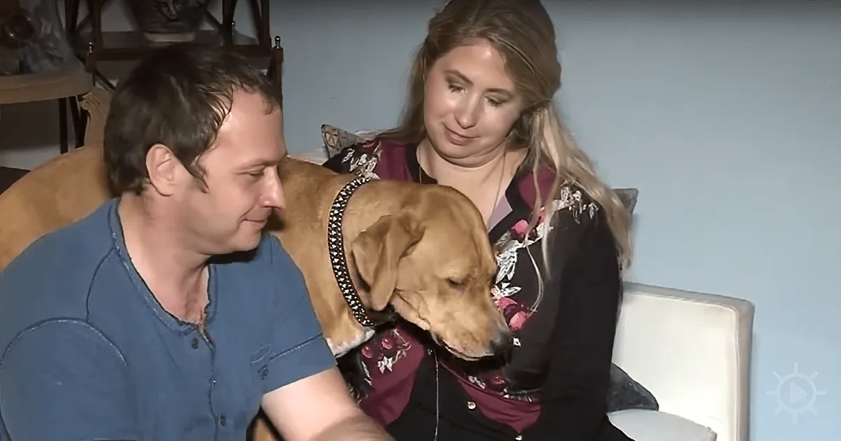 Dog Who Was Almost Euthanized Alerts Neighborhood to Potentially Deadly Gas Leak