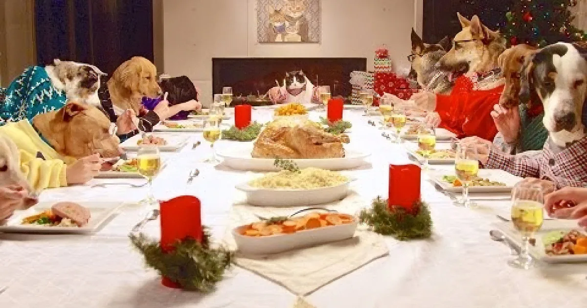 Dogs in holiday sweaters sit at a festive Christmas dinner table with food and candles.