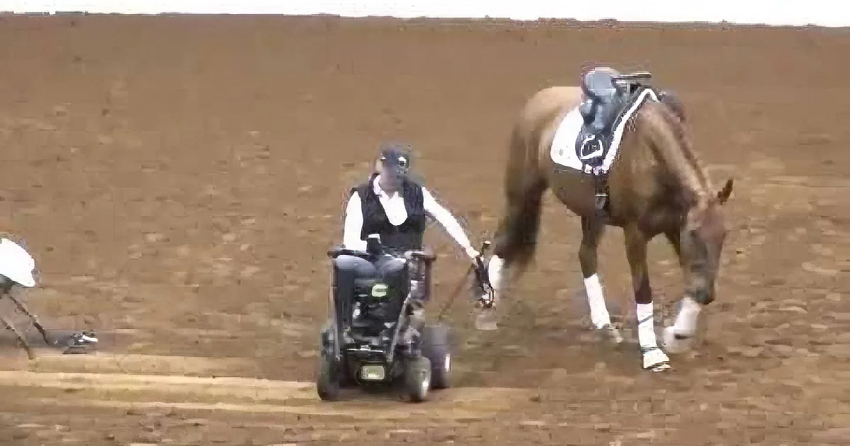 A person in a wheelchair is being pulled by a horse in a dirt field.