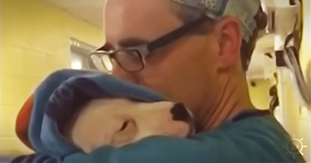 ''It's Just the Medication Talking.' Surgical Assistant Comforts Confused Patient'