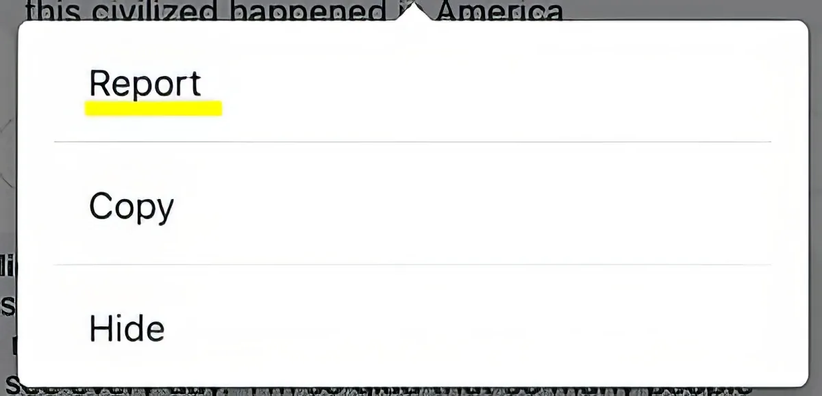 A screenshot shows a menu with options "Report," "Copy," and "Hide" for a text snippet.
