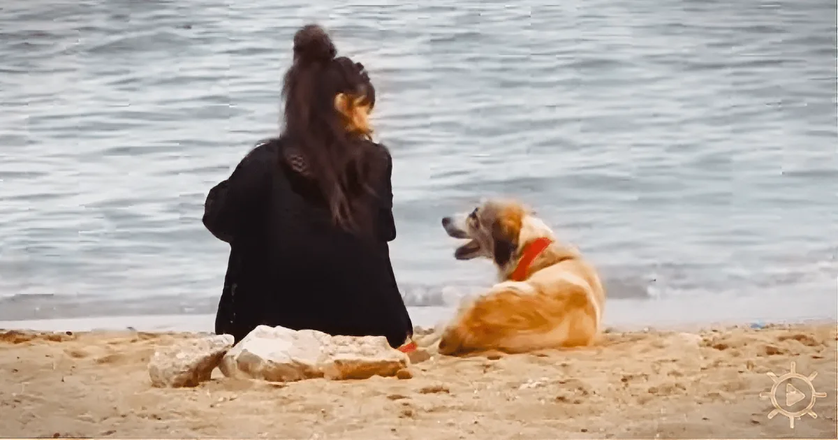 A woman in a black coat stands on a sandy beach, facing a dog with a red collar lying nearby.