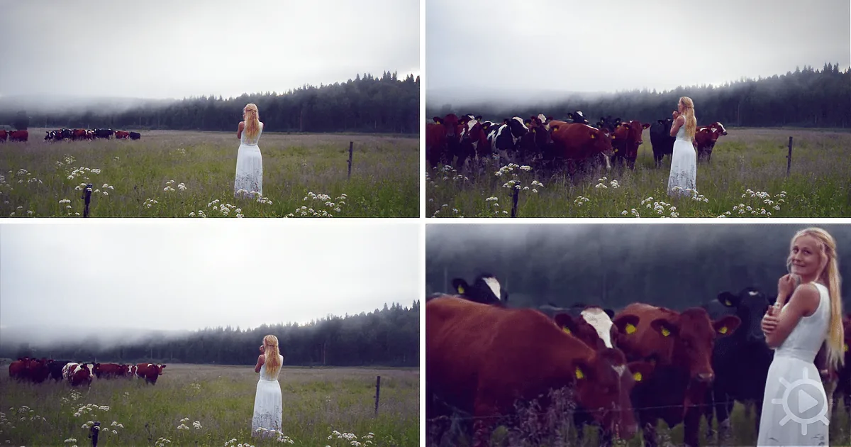 She Sings an Ancient Viking Song to a Herd of Cows
