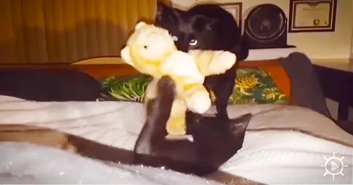 A black kitten plays with a yellow stuffed toy on a bed.