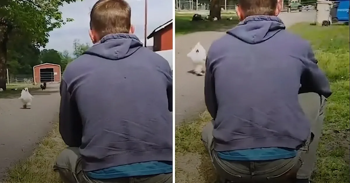 He Leaves a Tetherball in the Forest and Turns on a Camera and Captures This Animal Playing!