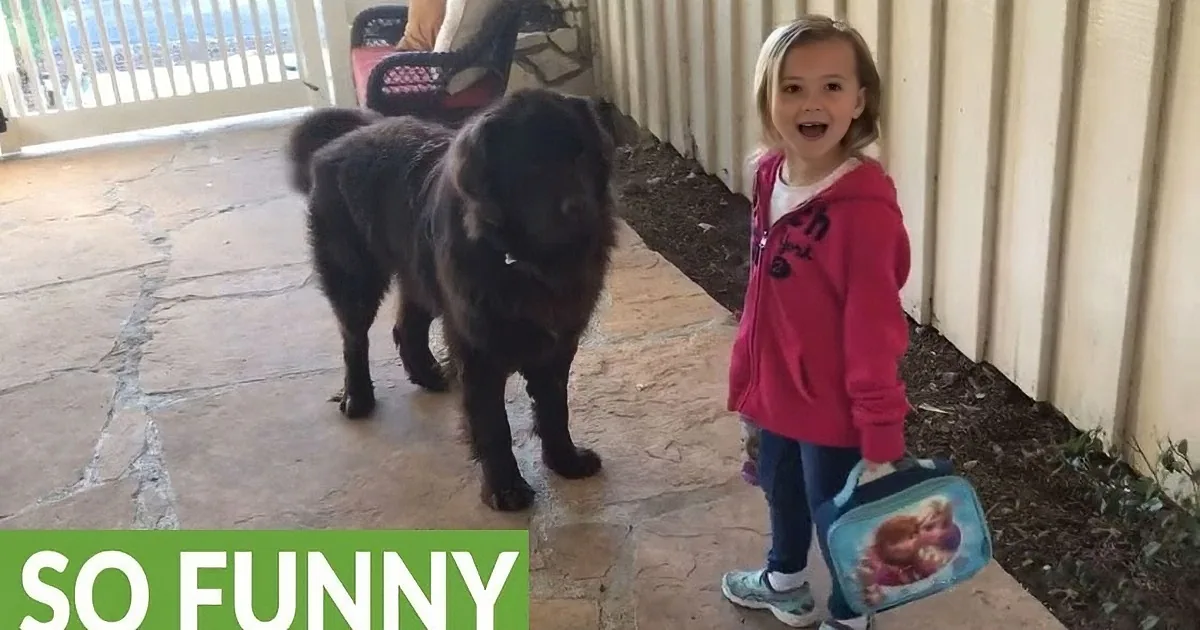A young girl in a pink hoodie stands next to a large, fluffy black dog on a patio.