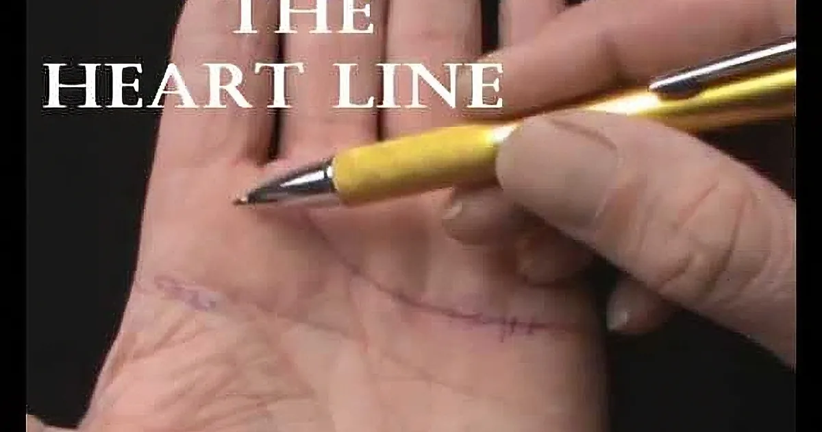 The Secrets About Your Heart Are in the Palm of Your Hands.