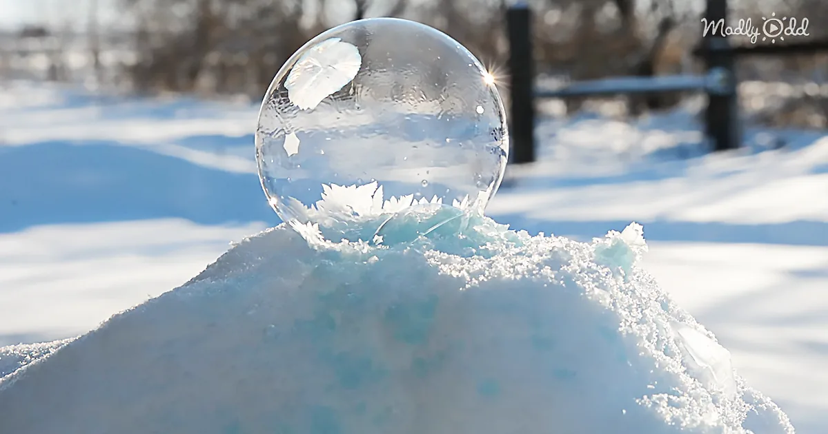Woman Lets Nature Create Unique Beauty When She Leaves a Bubble in the Frozen Yard