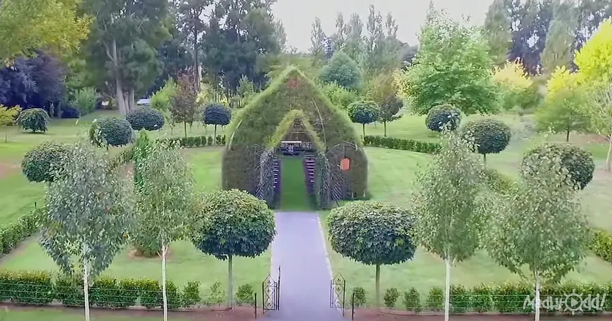 A Man Builds a Magical, Living Green Church. You Won't Believe How It Looks Inside!