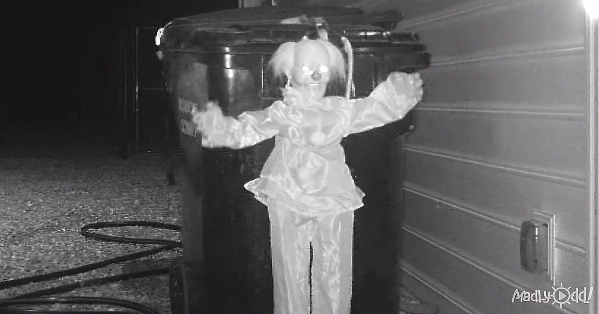 A Homeowner Is so Sick of a Bear Snooping Into His Trashcan for Food the He Finds a Hilarious Solution!