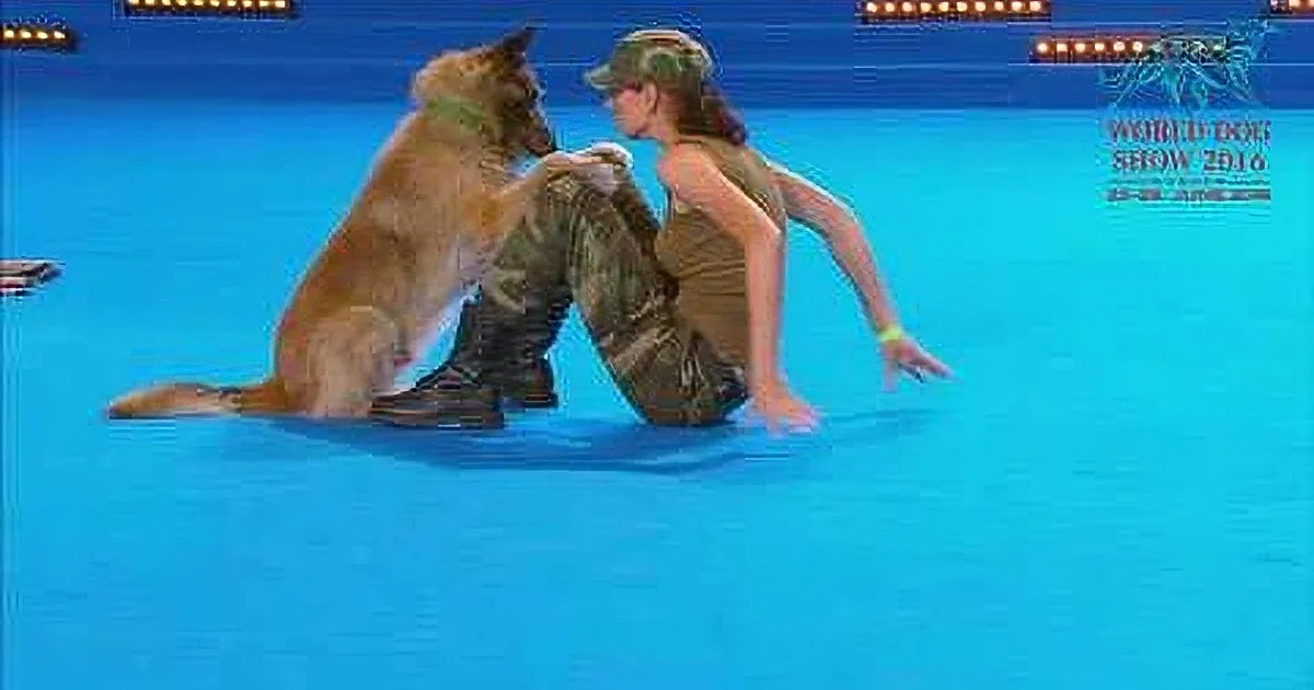 A woman in military attire kneels beside a German Shepherd on a blue stage at the World Dog Show 2016.