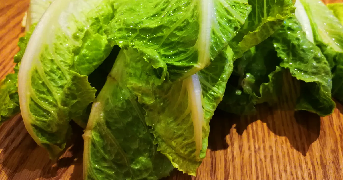 ''''Throw out'' This Lettuce, Warns Cdc. It May Have E. Coli, as Outbreak Hits These 16 States''
