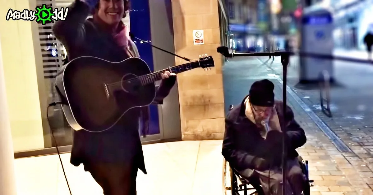 A woman plays guitar while a man in a wheelchair listens on a city street at night.