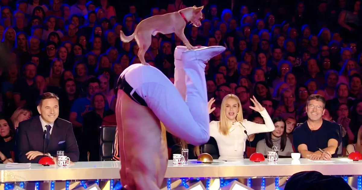 A dog balances on a person's feet while they perform a handstand in front of an audience.