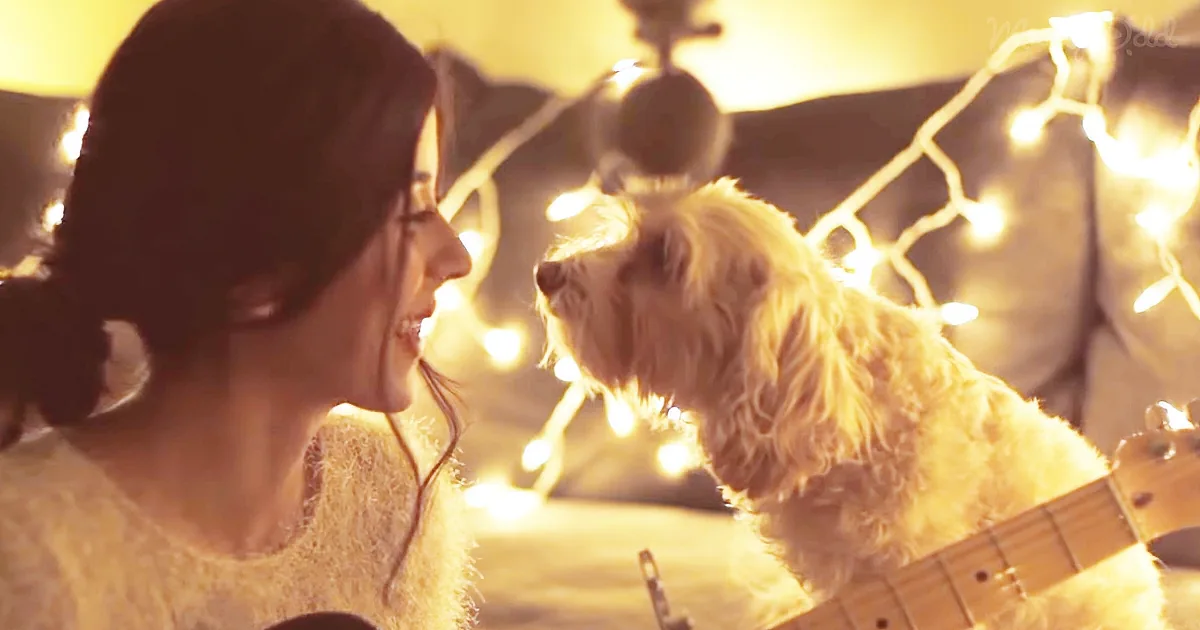 A woman smiles at a small dog with fairy lights and a guitar in the background.