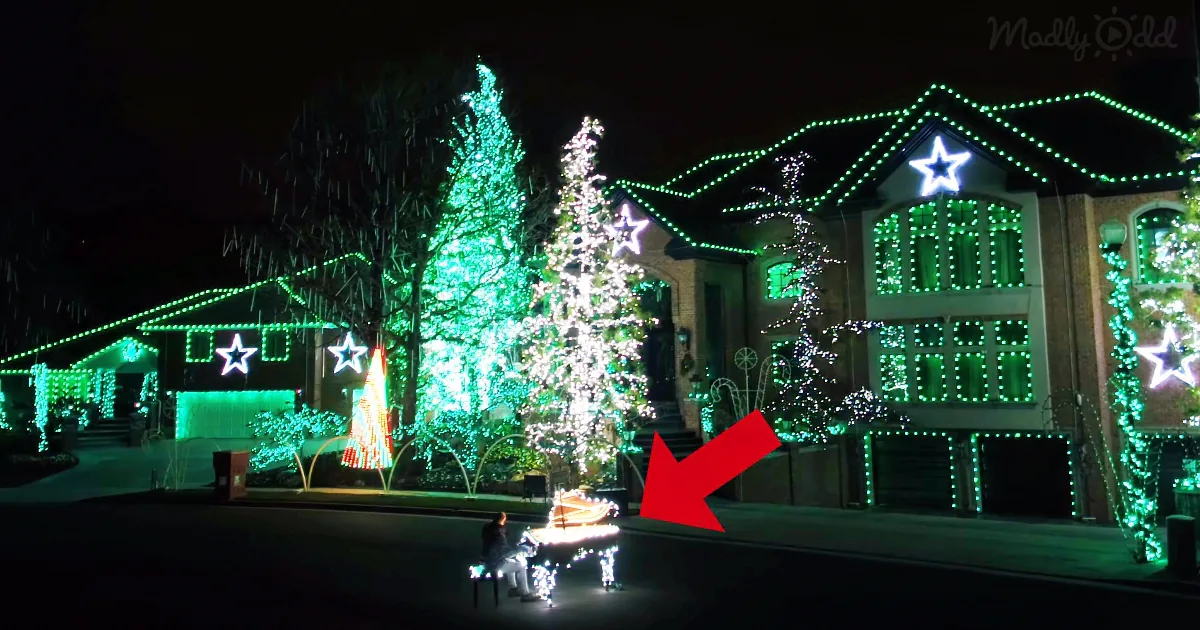 A person sits on a bench in front of a house adorned with festive green and white Christmas lights.