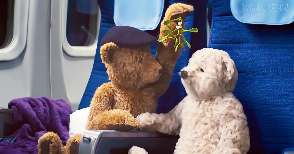 Two teddy bears, one in a cap, sit on a train, one holding a sprig of mistletoe.