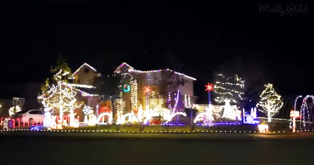 Homeowner Sets Christmas Lights to Viral ''Baby Shark'' Song --and We Can''t Look Away