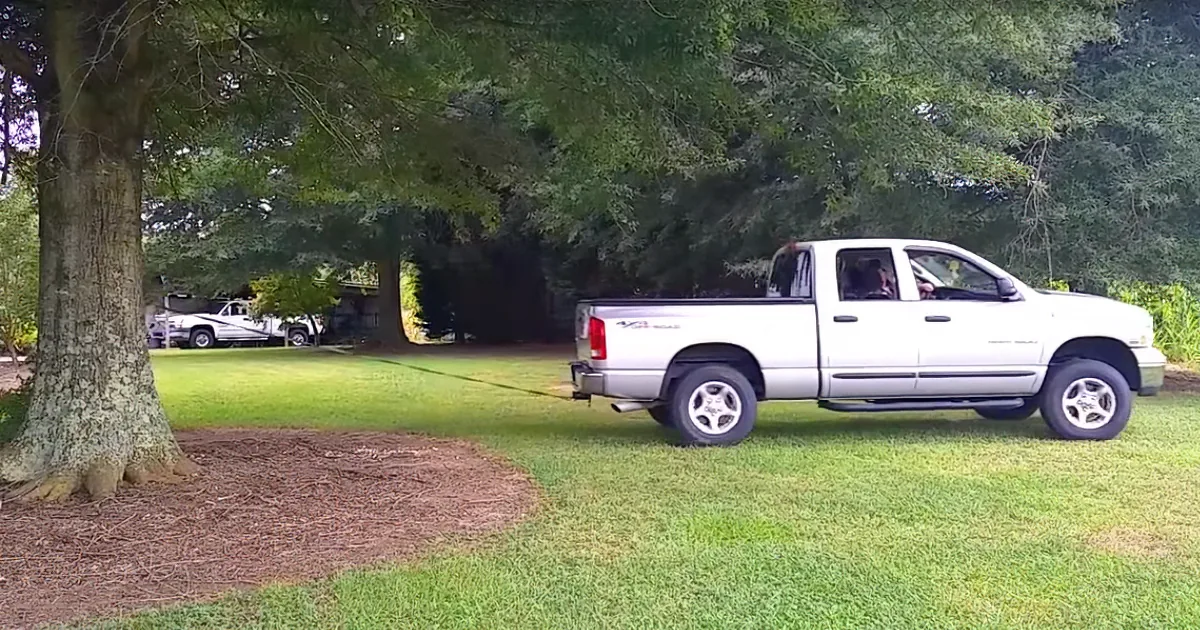 Wife Can't Stop Laughing When 'Clever' Husband Decides to Pull out Tree With His Truck