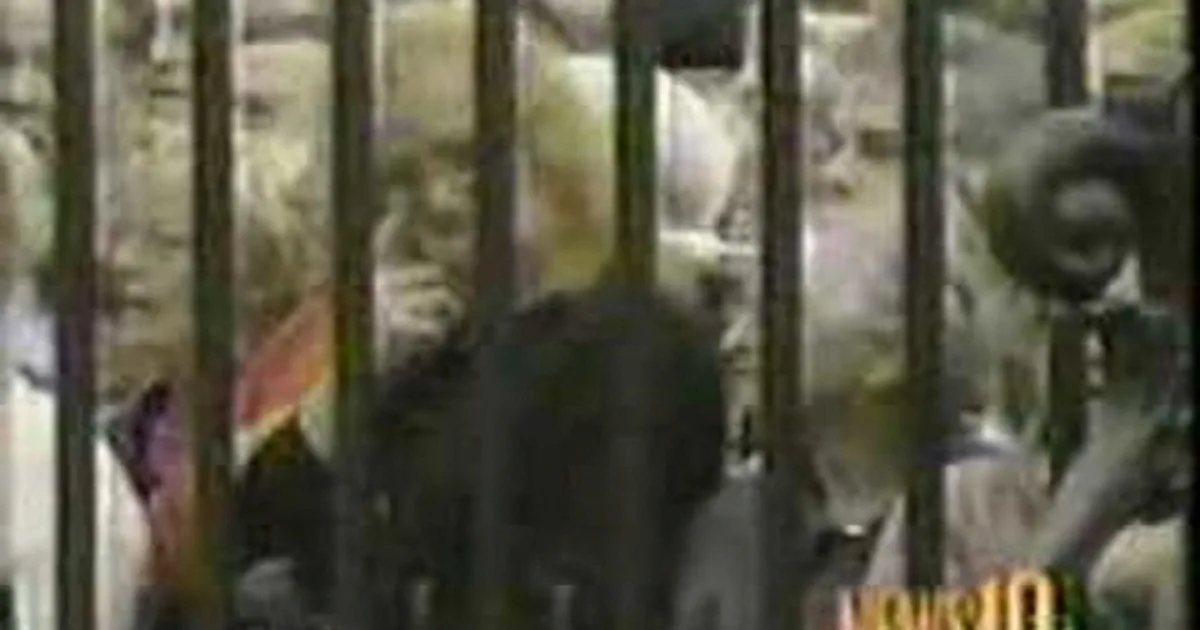 15 Years Ago, the Queen Broke Protocol to Support the USA After the Devastating 9/11 Attacks