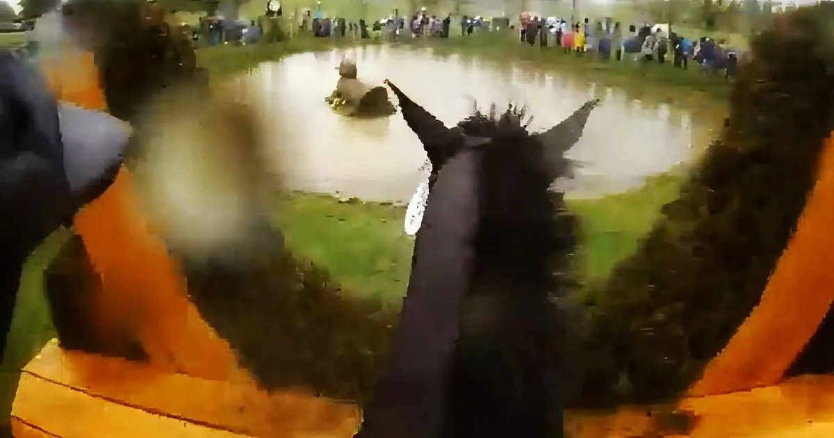 Horse Starts Running. but What Happened When They Neared This Fence? Whoa,